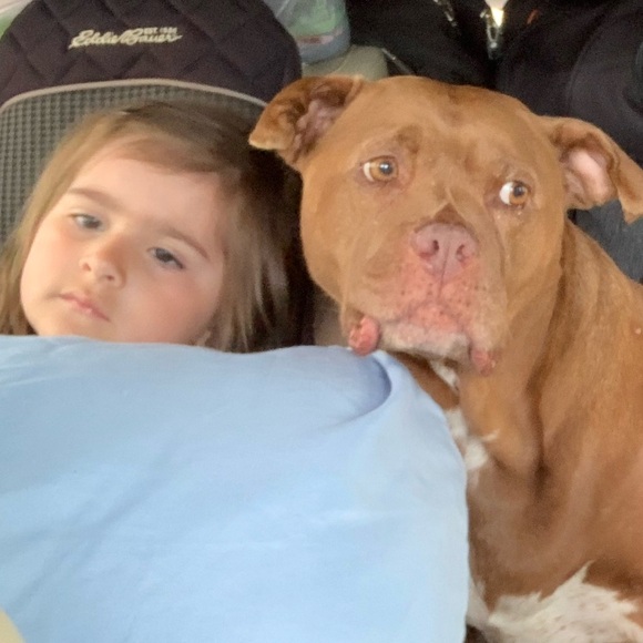 The hardest goodbye - Picture 5 of 5